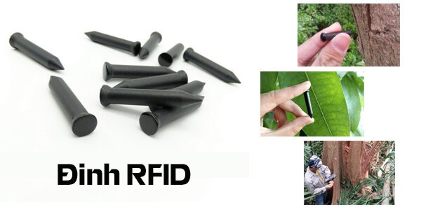 Ứng dụng RFID trong quản lý gỗ