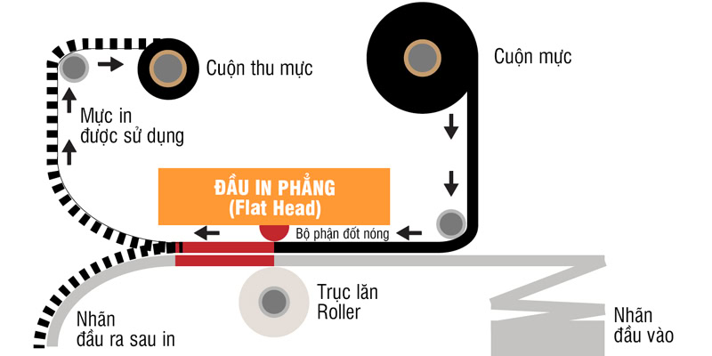 Đầu in phẳng (Flat Head) là gì?