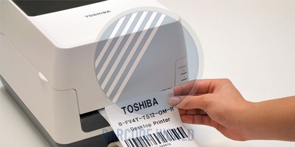 Máy in để bàn Toshiba B-FV4T in ấn đẹp mắt