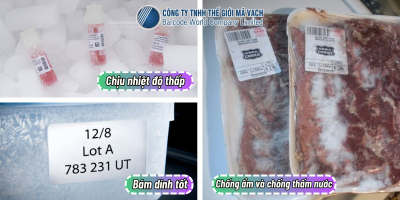 Đặc điểm của tem dán hàng đông lạnh