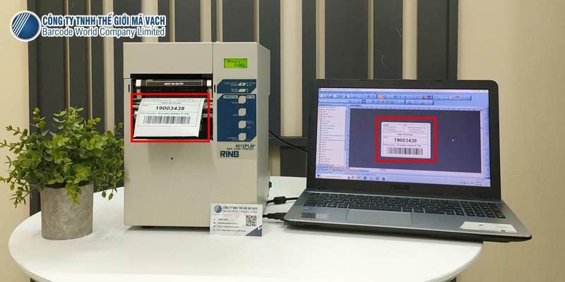Calibration khi in tem bị lệch do máy chưa hiểu khổ giấy