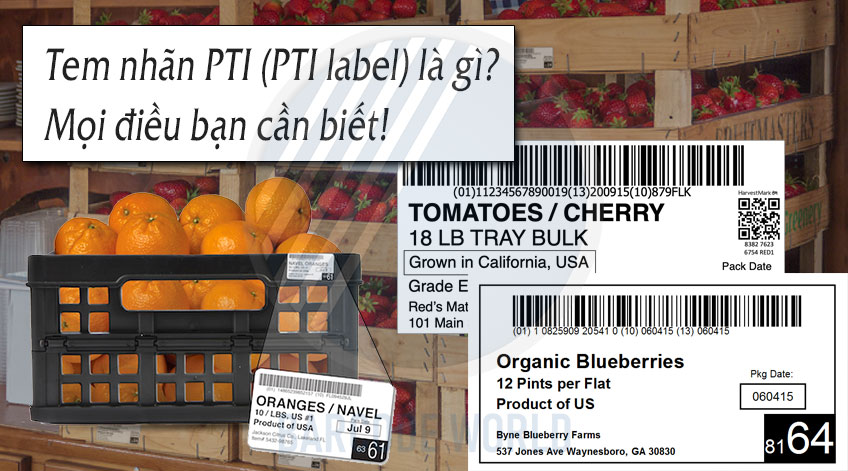 Tem nhãn PTI (PTI label) là gì? Mọi điều cần biết - Thế giới mã vạch