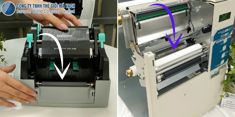 Trục lăn (Platen Roller) bằng cao su đặt ngay bên dưới đầu in