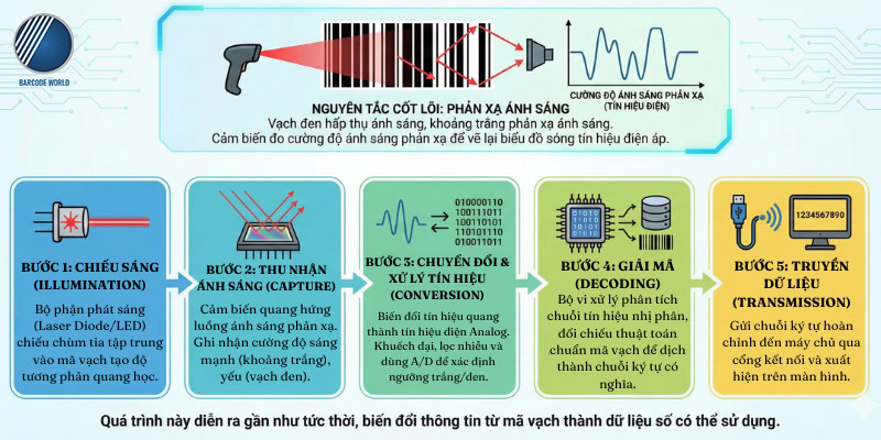 Nguyên lý hoạt động máy quét mã vạch (5 bước chi tiết) Nguyên lý hoạt động máy quét mã vạch (5 bước chi tiết)
