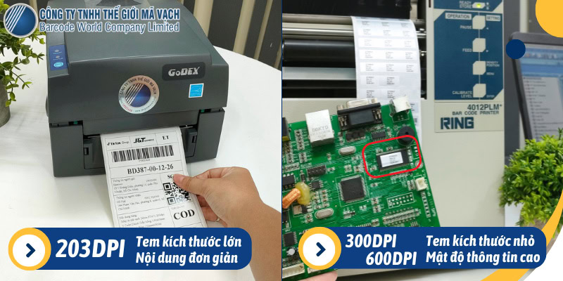 Chọn DPI máy in dựa trên đặc tính tem nhãn