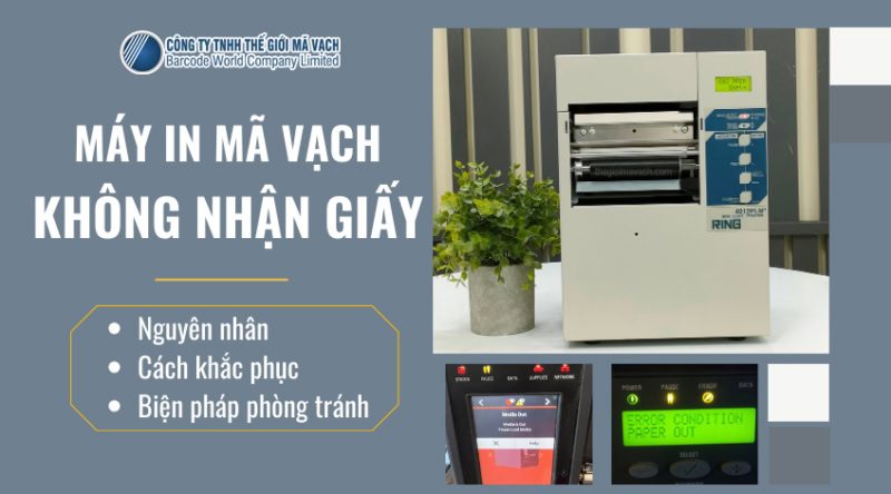 Máy in mã vạch không nhận giấy: nguyên nhân, cách khắc phục