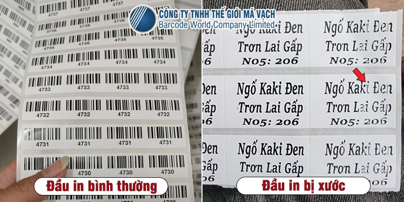 Dấu hiệu nhận biết đầu in mã vạch bị xước