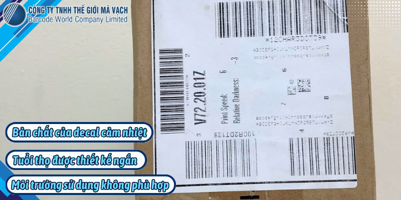 3 nguyên nhân tem nhanh bay phai khi dùng máy in nhiệt trực tiếp