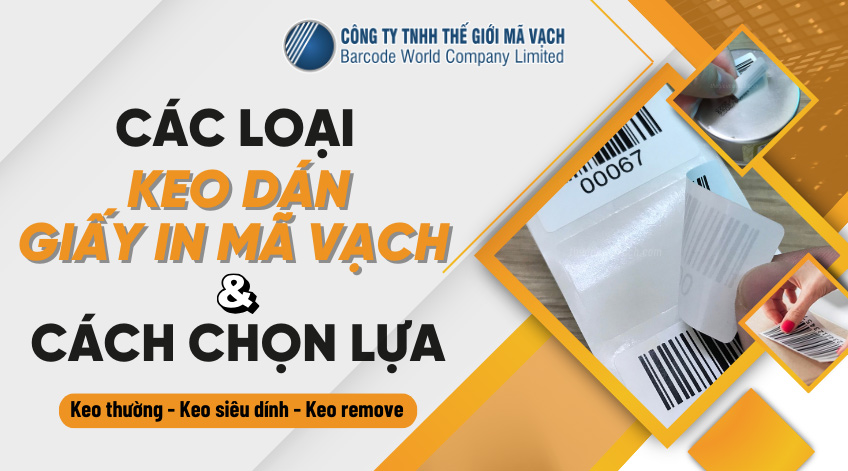 Các loại keo dán giấy in mã vạch và cách lựa chọn