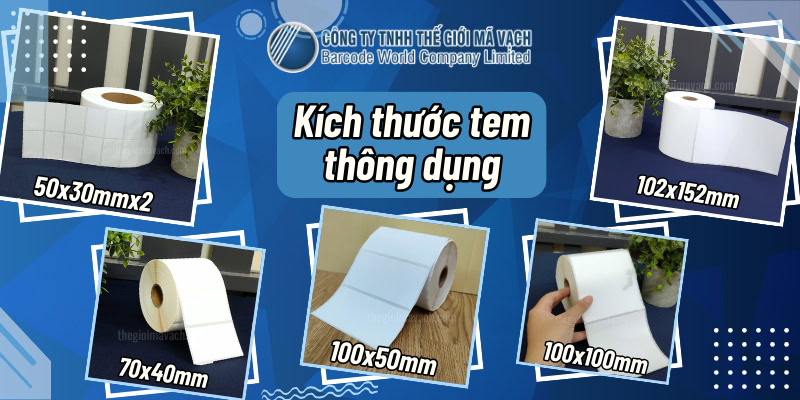 Kích thước tem dán thùng hàng thông dụng