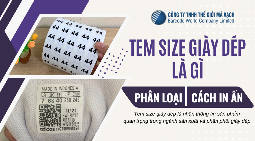 Tem size giày dep là gì? Phân loại, cách in ấn