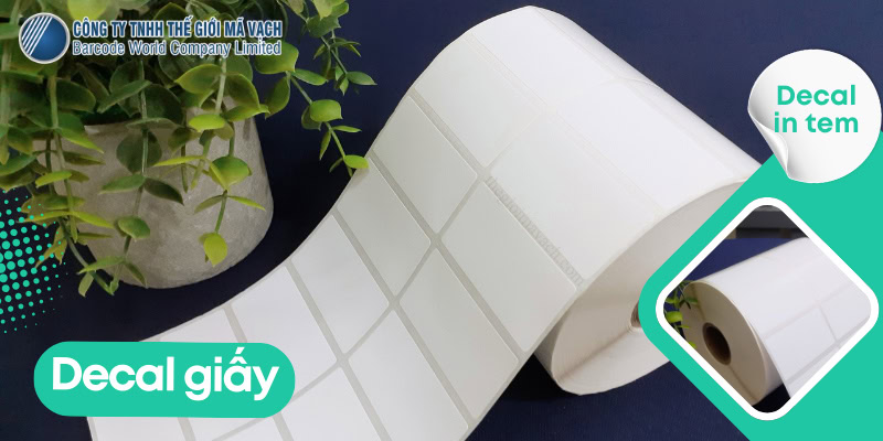 Decal giấy thường là gì?