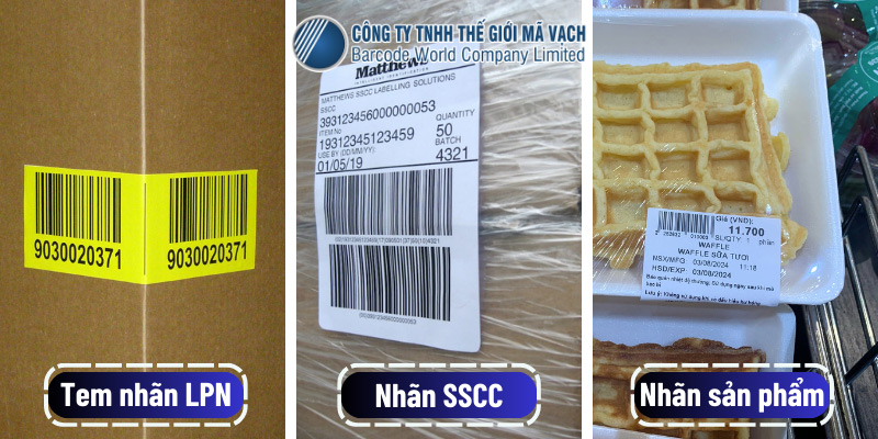 Sự khác nhau giữa tem nhãn LPN, tem nhãn SSCC và nhãn sản phẩm