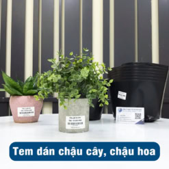 Tem dán chậu cây, chậu hoa giá rẻ