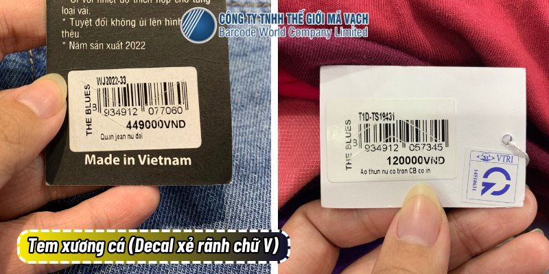 Tem xương cá (Decal xẻ rãnh chữ V) là gì?