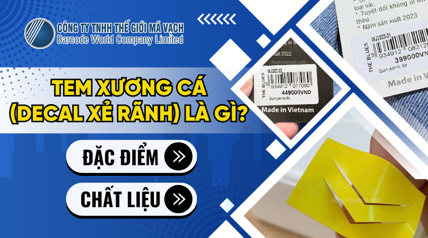 Tem xương cá (Decal xẻ rãnh) là gì? Đặc điểm, chất liệu