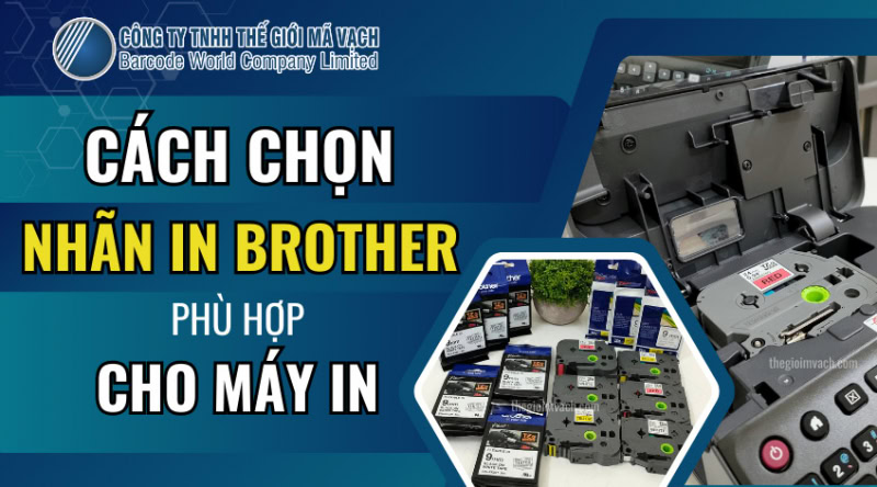 Cách chọn nhãn in Brother phù hợp cho máy in chi tiết