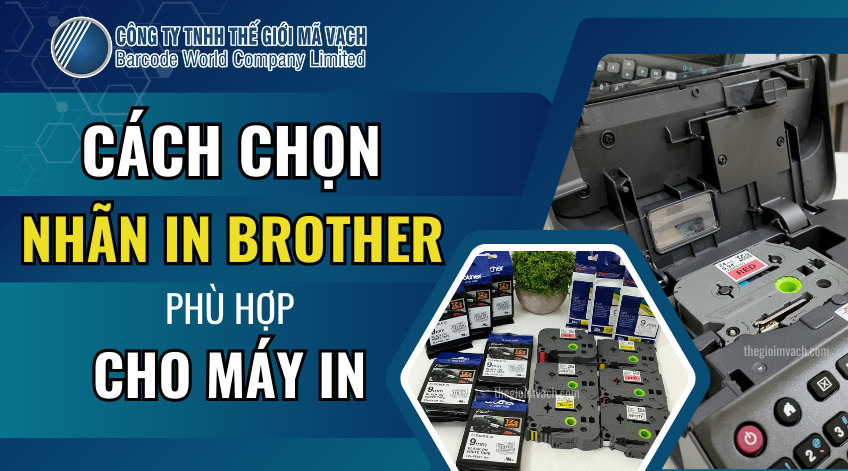 Cách chọn nhãn in Brother phù hợp cho máy in chi tiết