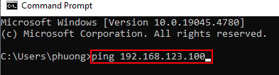 Nhập "ping 192.168.123.100"