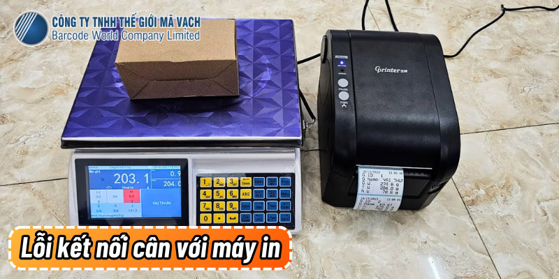 Lỗi kết nối cân điện tử với máy in tem