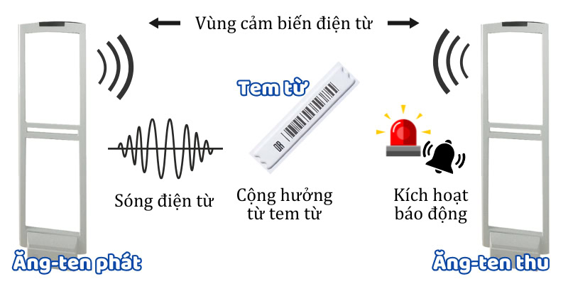 Nguyên lý hoạt động cổng từ an ninh là cảm ứng điện từ