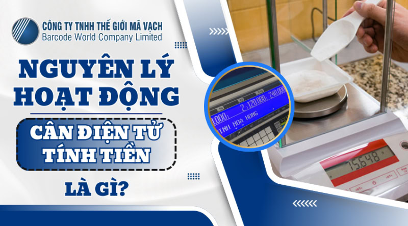 Nguyên lý hoạt động của cân điện tử tính tiền là gì?