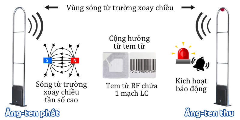 Nguyên lý hoạt động của cổng từ RF dựa trên sóng radio tần số cao