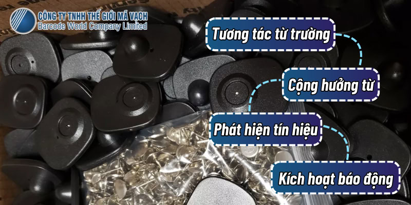 Nguyên lý hoạt động của tem từ cứng