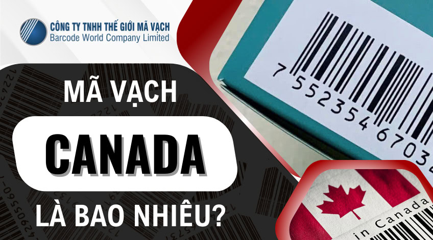 Mã vạch Canada là bao nhiêu? 3 cách check đơn giản