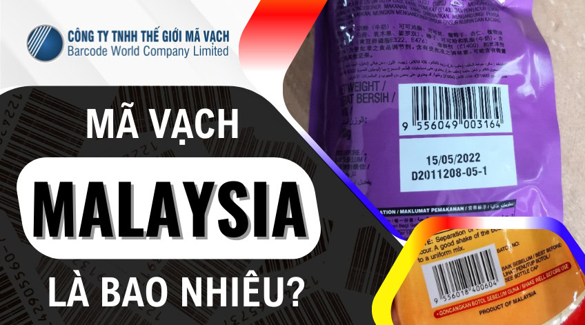 Mã vạch Malaysia: Đầu số 955 và cách đọc, kiểm tra