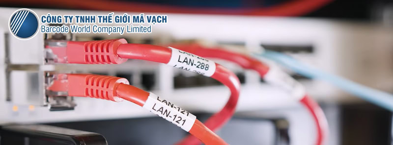 Brother PT-E310BT in nhãn đánh dấu hạ tầng mạng