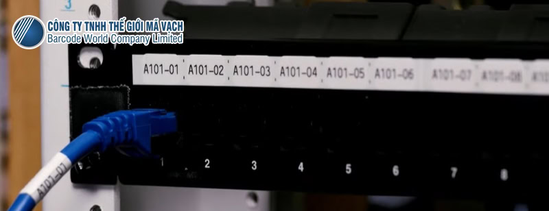Máy in nhãn Brother PT-E560BT dùng in nhãn Patch Panel