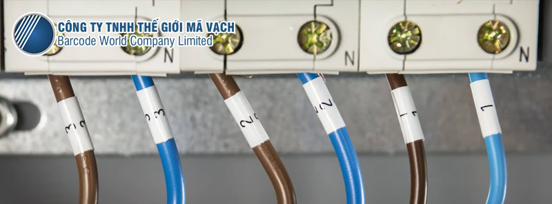 Máy in nhãn Brother PT-E310BT đánh dấu dây trong an ninh