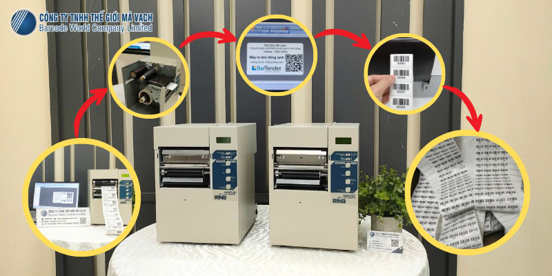 5 bước in tem đông lạnh đúng cách