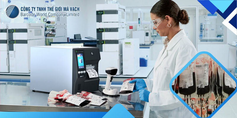 In tem nhãn định danh túi máu