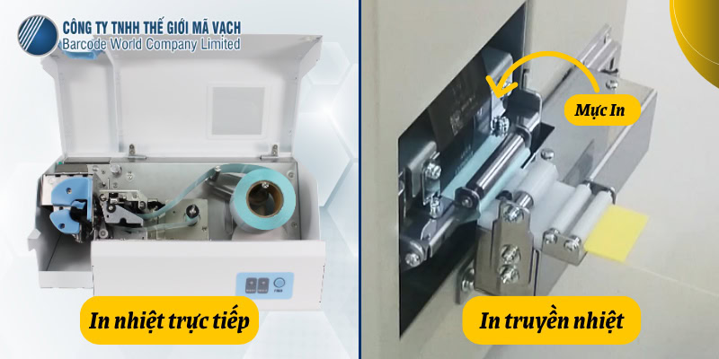 Công nghệ in nhiệt trực tiếp và in truyền nhiệt máy in tem phòng lab