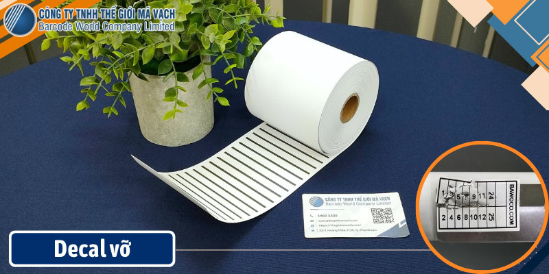 Decal vỡ cấu trúc giòn