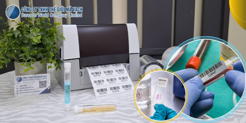 In và dán tem ống nghiệm và slide thủ công