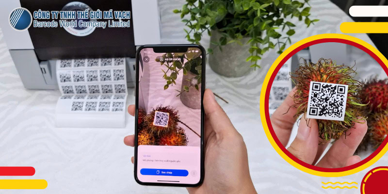Kích thước tối thiểu của tem QR Code để điện thoại có thể quét