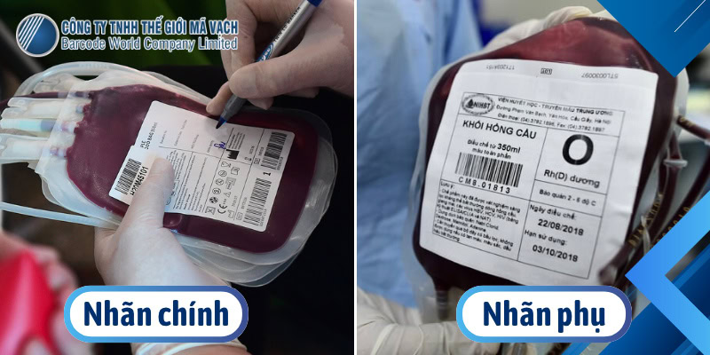Nhãn chính và nhãn phụ trên túi máu