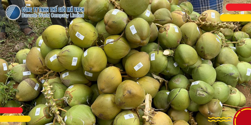 Truy xuất nguồn gốc nông sản là bằng chứng tin cậy để người tiêu dùng chọn mua hàng
