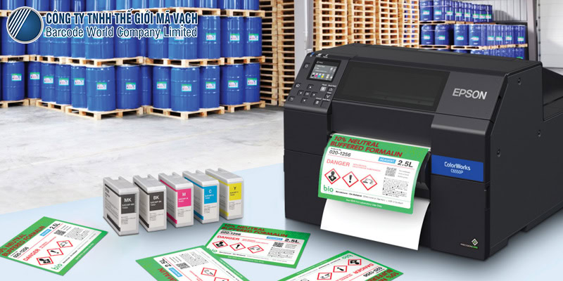 Máy in Epson C6550P ứng dụng cho nhiều khu vực