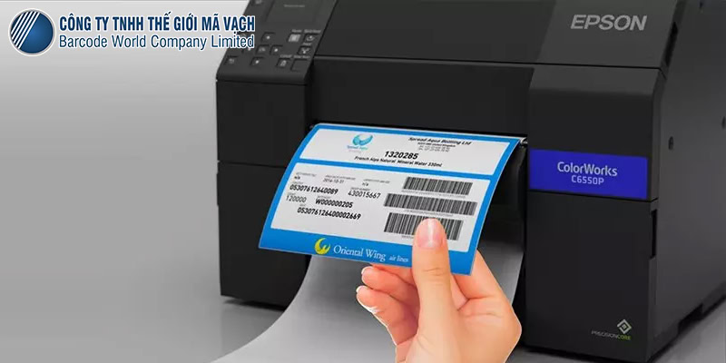 Máy in tem nhãn màu Epson C6550P tích hợp bóc nhãn tự động