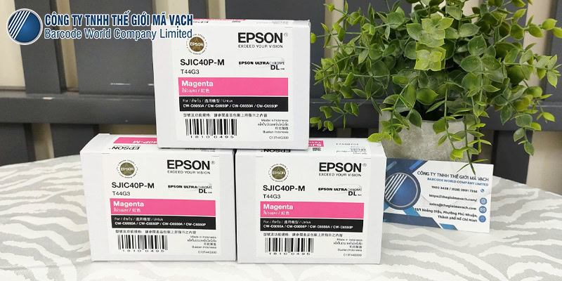 Mực in Epson Hồng SJIC40P-M (C13T44G300) tương thích cùng C6050/C6550