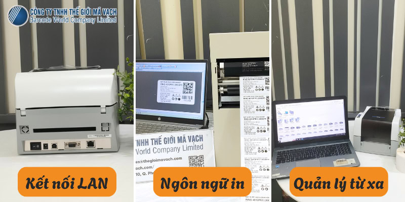 Tích hợp hệ thống và kết nối mạng tại kho