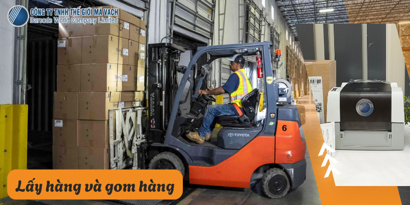 lay hang va gom hang in tem phu bang may in cross docking