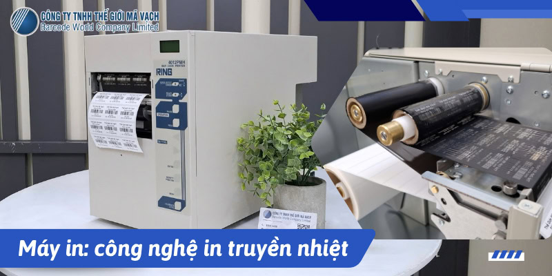 Máy in: công nghệ in truyền nhiệt gián tiếp in tem lốp xe bền