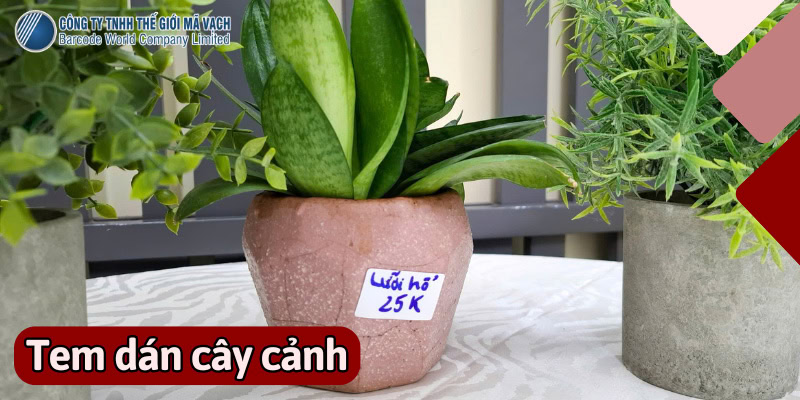 Giải pháp ghi tay và máy in văn phòng thất bại tại vườn ươm