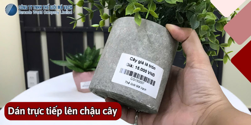 Giải pháp dán trực tiếp lên chậu cây (cho cửa hàng, bán lẻ)