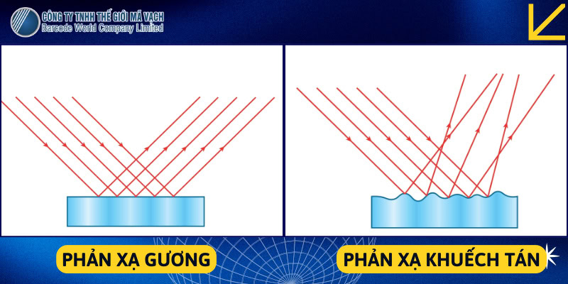 Máy quét mã vạch thường không quét được trên màn hình điện thoại do sự xung đột về nguyên lý quang học Máy quét mã vạch thường không quét được trên màn hình điện thoại do sự xung đột về nguyên lý quang học